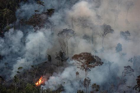 Seca Na Amaz Nia Saiba Suas Causas E Impactos Greenpeace Brasil