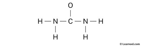 Urea Lewis Structure Learnool