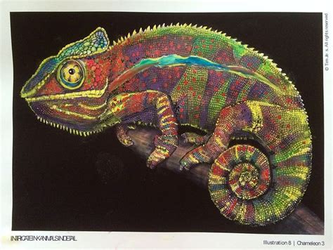 Colorful lizards, Color pencil drawing, Animal drawings