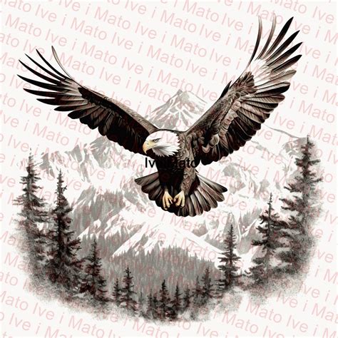 American Bald Eagle Laser Engraving Png Digital Design Xtool Glowforge