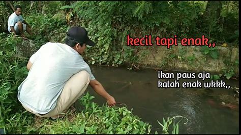 Mancing Ikan Benterwadertest Umpan Youtube