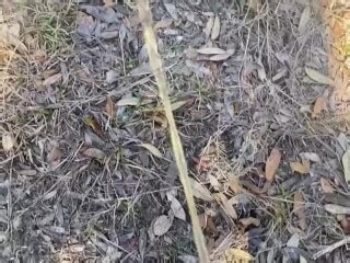 Piss Compilation Pornhub Gay