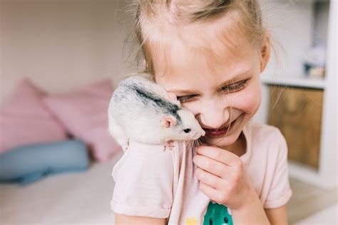 10 besten Haustiere für Kinder Kosten Aufwand Haltung