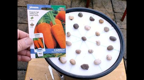 How To Successfully Sow Carrot Seeds Thinly In A Pot Using A Homemade