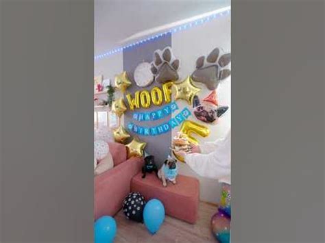 с днем рождения, моя булочка..🐶 #shortsvideo #tiktok #trending - YouTube