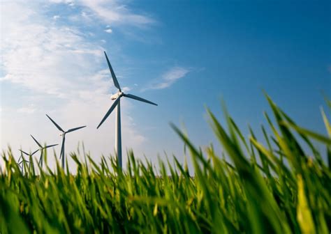 Global wind turbine materials market to reach $8bn by 2029 - Power ...