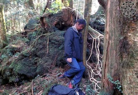 Aokigahara El Bosque De Los Suicidios Para Los Japoneses