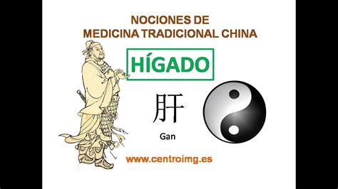 14 El Hígado el general del cuerpo Medicina Tradicional China