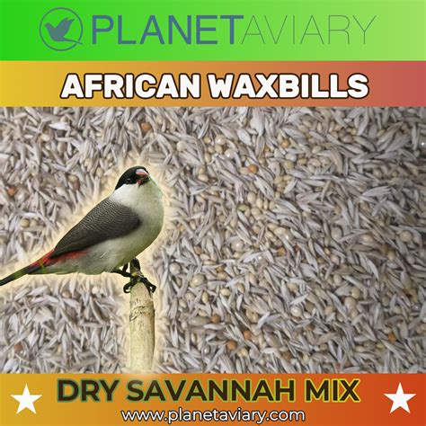 Waxbill Savannah Dry Season Seed Mixture Planet Aviary