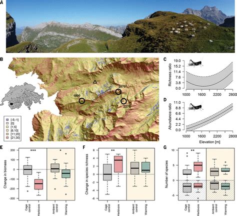 Novel Trophic Interactions Under Climate Change Promote Alpine Plant