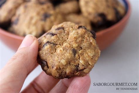 Galletas Integrales Con Avena Y Chocolate Saborgourmet