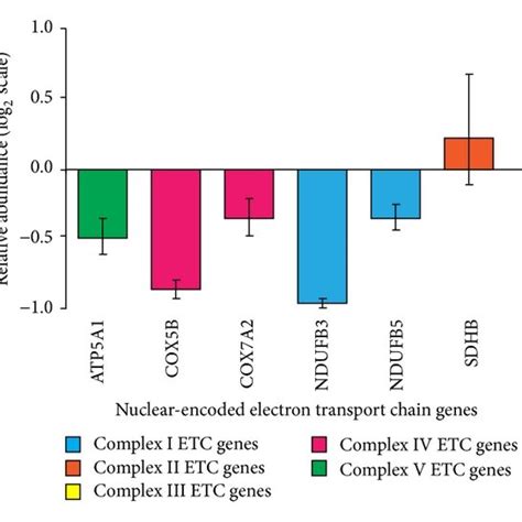 Endogenous PGC 1α regulates the nuclear encoded electron transport