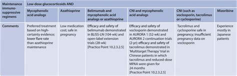 Kdigo 2024 Clinical Practice Guideline For The Management Of Lupus