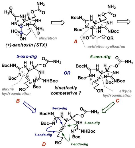 A Stereocontrolled Synthesis Of Saxitoxin Abstract Europe Pmc