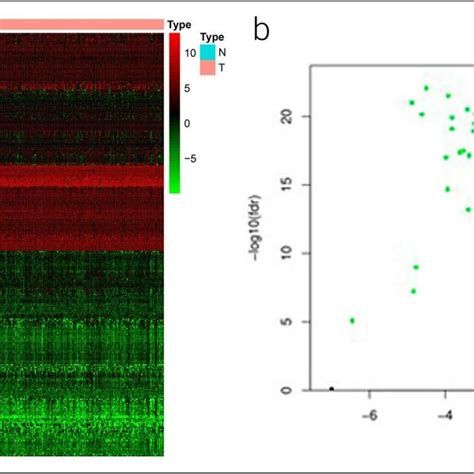 Differentially Expressed Transcription Factors Tfs Between Normal And