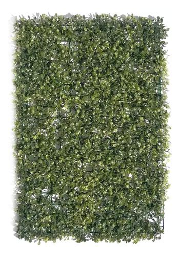 Placa De Buchinho Grama 60x40 Artificial Jardim Vertical Parcelamento