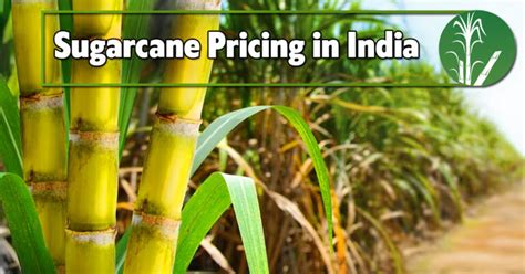 Sugarcane Pricing In India Chinmaya Ias Academy Current Affairs