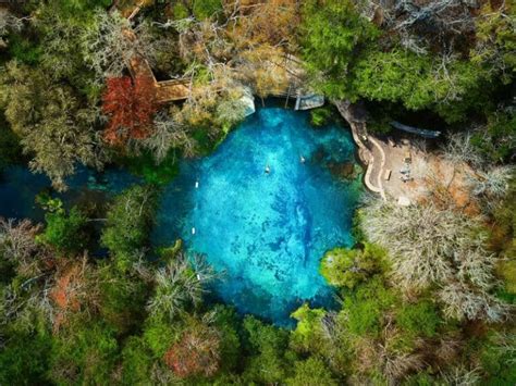 Aguas Termales En Florida Disfrutar En USA