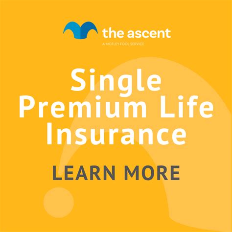 What Is Single Premium Life Insurance The Motley Fool