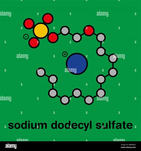 Sodium dodecanesulfate hi-res stock photography and images - Alamy