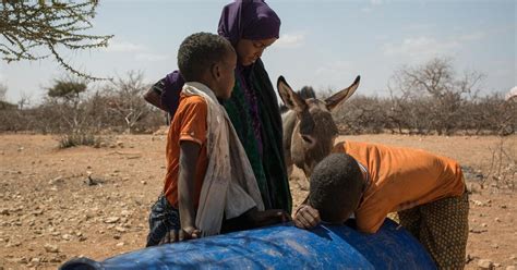 Somalia hit by worst drought crisis in a decade: NGO | Drought News ...