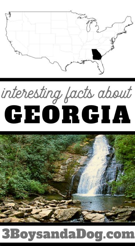 Interesting Facts About Georgia State Youll Love