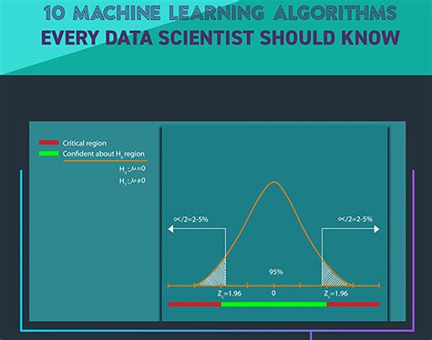 Machine Learning Algorithms Every Data Scientist Should Know Infographic