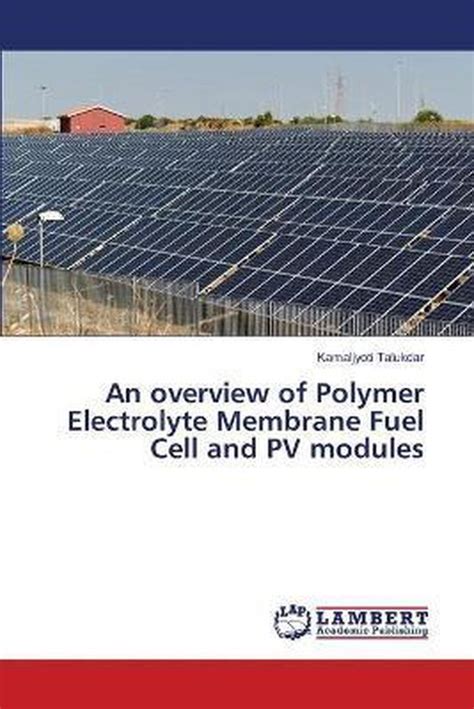 An Overview Of Polymer Electrolyte Membrane Fuel Cell And Pv Modules