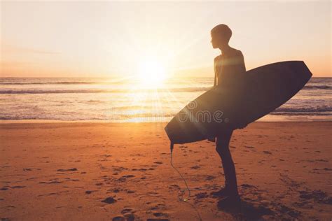 447 Surfboards Silhouette Stock Photos Free Royalty Free Stock