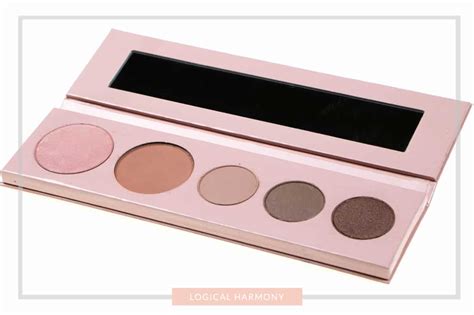 Pure Pretty Naked Shadow Palette Review Logical Harmony