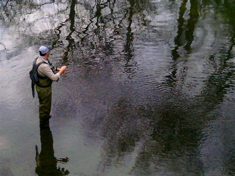 Tennessee Fly Fishing Winter Fishing On The Elk River Tn