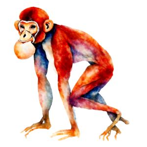 Download Watercolor Painting of Orange Monkey PNG Online - Creative Fabrica