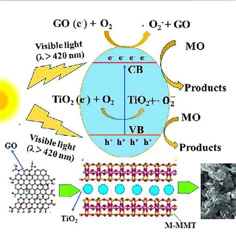 A The Tem Images Of Tio Go M Mmt Nanocomposites B The Hrtem