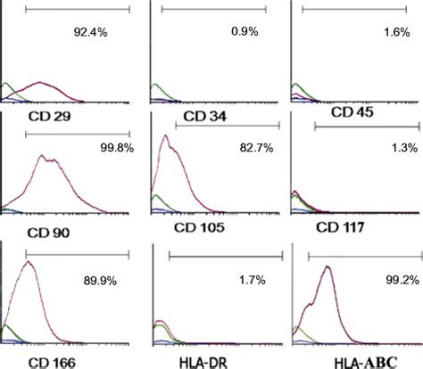 Flow Cytometric Analysis Of Cultured Mscs With Monoclonal Antibodies