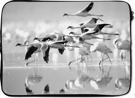 Housse Ordinateur 13 Pouces Flamants Roses Sur L Eau Noir Et Blanc