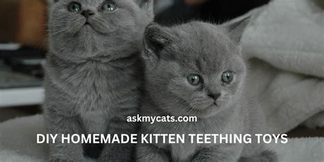 DIY Homemade Kitten Teething Toys