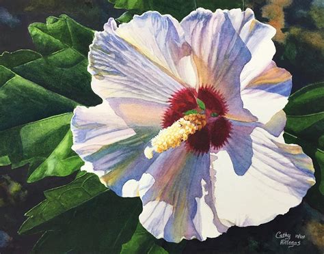 Rose Of Sharon Watercolor Painting Print By Cathy Hillegas Etsy