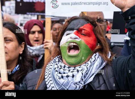 Mujer Con Pintura De La Cara De La Bandera Palestina En Una Protesta De