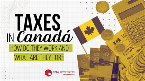 Taxes In Canada How Do They Work And What Are They For — Global