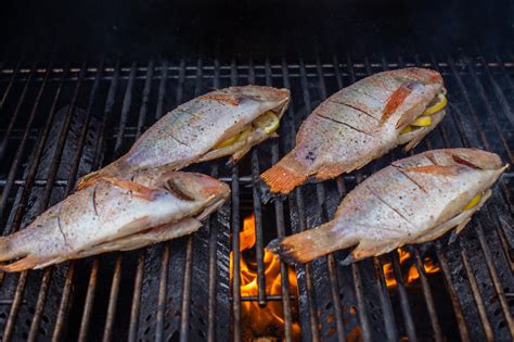 Grilled Tilapia Recipe Minutes Momsdish