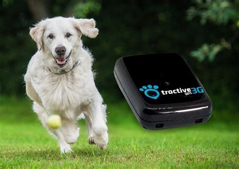 Tractive Gps 3g Pet Tracker — Navixy Talks