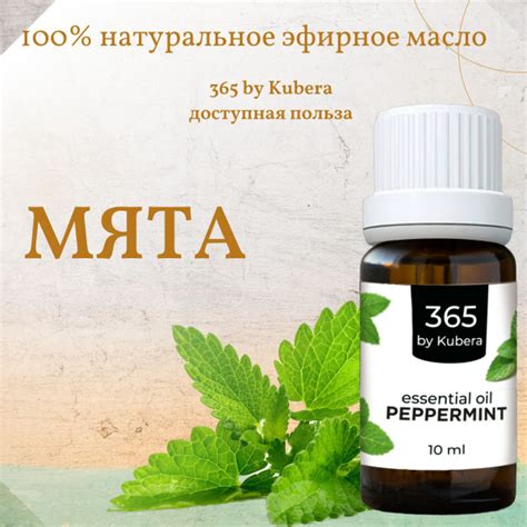 Натуральное эфирное масло мяты 10 мл 365byKubera. Mentha piperita oil ...