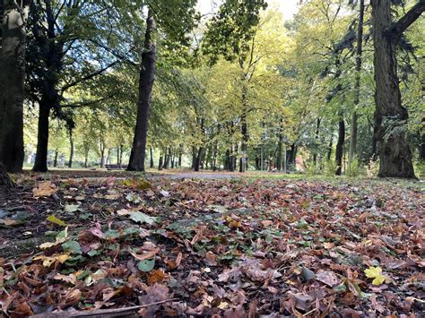 Park Kopernika W Jesiennej Scenerii To Tu Spaceruj T Umy Gorzowian