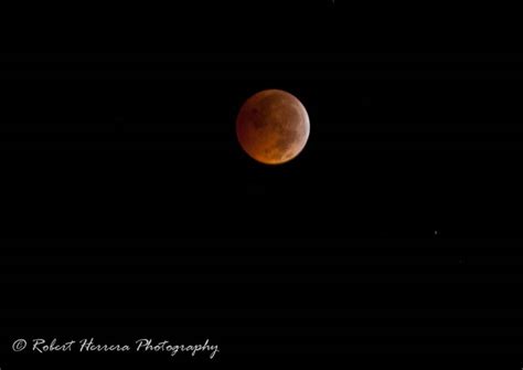 Gallery: Lunar Eclipse Photos Submitted by You | Popular Photography