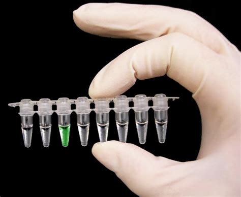 Pcr And Rt Pcr Omega Custom Optical Filters