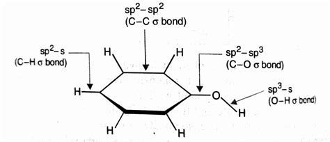 Phenol Resonance Structure