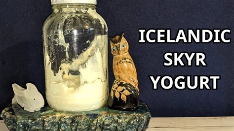 Easy Icelandic Skyr Yogurt Viking Youtube