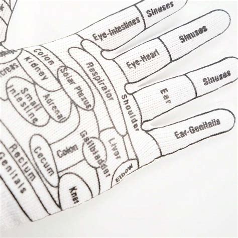 Pair Of English Hand Massage Gloves With Massage Stick Acupoint Map