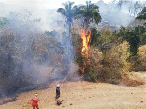 Honda Declarado En Calamidad P Blica Por Incendio Forestal Red