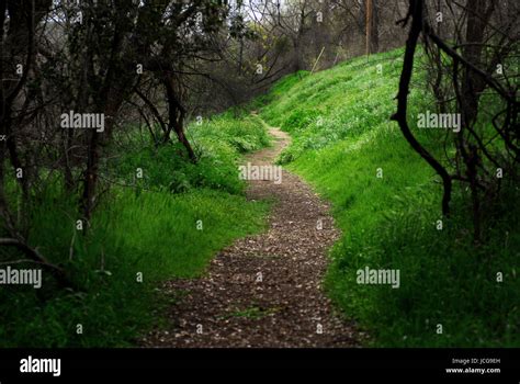 Scary path hi-res stock photography and images - Alamy